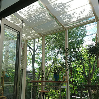 サンルーム オーニングのインテリア実例 Roomclip ルームクリップ