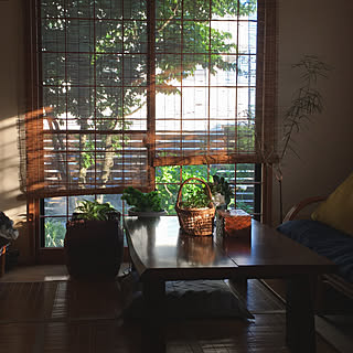 障子紙取っちゃったのインテリア実例 Roomclip ルームクリップ