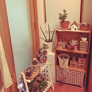 100均 金の成る木のインテリア実例 Roomclip ルームクリップ