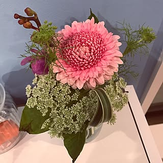 植物 青山フラワーマーケットのインテリア実例 Roomclip ルームクリップ