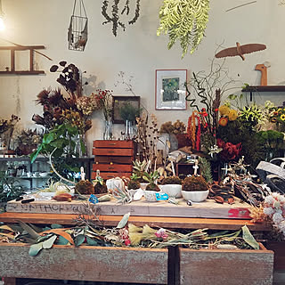 NO GREEN NO LIFE/古道具/グリーンのある暮らし/ことり（お花と植物の店）/店舗リノベーションしました☺...などのインテリア実例 - 2018-10-15 23:48:05
