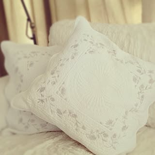 リビング/クッションカバー/クッション/ZARA HOMEのインテリア実例 - 2012-08-25 08:39:58