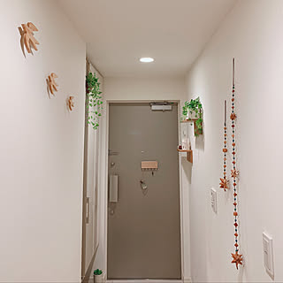 玄関 入り口 虫除けのインテリア実例 Roomclip ルームクリップ 玄関 入り口 虫除けのインテリア実例 Roomclip ルームクリップ