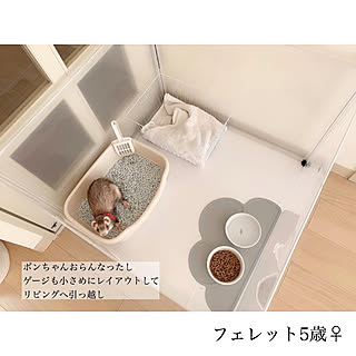 ペットゲージ/H&M HOME/DIY/キャンドゥ/観葉植物のある暮らし...などのインテリア実例 - 2020-02-24 21:52:12