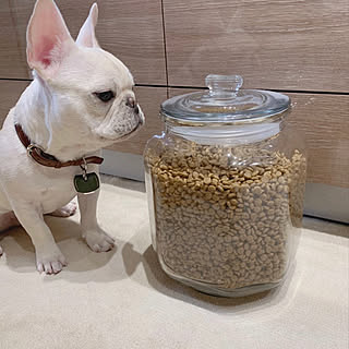 普通の家/ナチュラル/カフェ風/シンプル/建売住宅...などのインテリア実例 - 2020-01-16 19:27:12