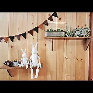 ウォールシェルフ/ハンギングシェルフ/DIY/ホームセンター/ハンズマン...などのインテリア実例 - 2016-11-08 15:06:19