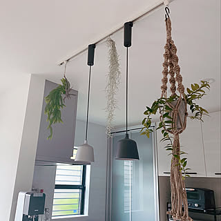 ダクトレール 吊り下げ観葉植物のインテリア実例 Roomclip ルームクリップ ダクトレール 吊り下げ観葉植物のインテリア実例 Roomclip ルームクリップ