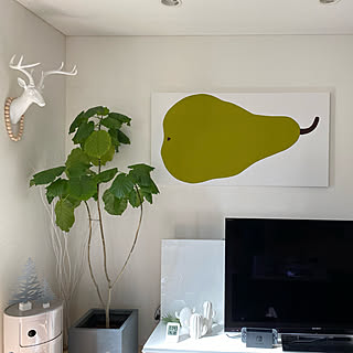 ハンティングトロフィー/コンポニビリ/Kartell Componibili/kartell/ウンベラータ...などのインテリア実例 - 2020-01-20 01:37:42