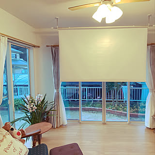 ホスクリーン 川口技研 建て増しのインテリア実例 Roomclip ルームクリップ ホスクリーン 川口技研 建て増しのインテリア実例 Roomclip ルームクリップ