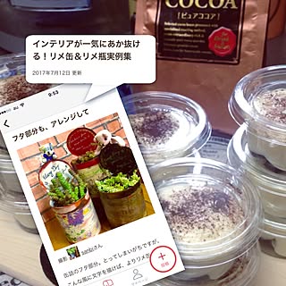 部屋全体/クマ/英文字♡/29.7.12.(水)/多肉ちゃん♡...などのインテリア実例 - 2017-07-12 10:55:16