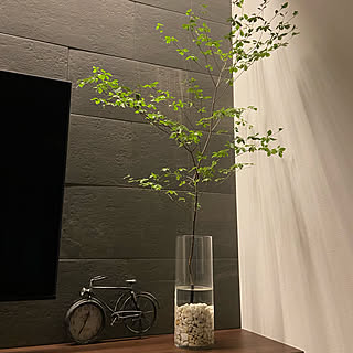 ニトリ フラワーベース ニトリのインテリア実例 Roomclip ルームクリップ