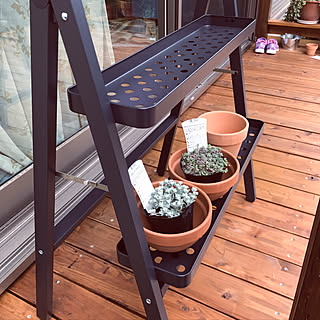 ロケット 抑圧する ええ Ikea ガーデン ラック Allseasons Jp