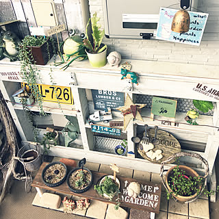玄関の多肉たち放ったらかし/パレットDIY/2019.6.29/狭い我が家/フォローお気軽にしてください♡...などのインテリア実例 - 2019-06-29 08:08:39