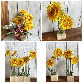 寄せ植え 黄色い花のインテリア実例 Roomclip ルームクリップ