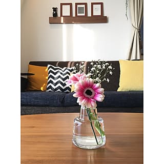 リビング/IKEA/Francfranc/無印良品 壁に付けられる家具/カーネーション...などのインテリア実例 - 2017-01-13 15:52:44