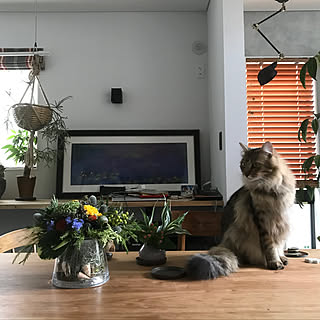アートのある部屋/アートのある暮らし/花のある暮らし/植物のある暮らし/猫のいる暮らし...などのインテリア実例 - 2019-08-12 23:36:27