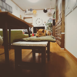 女性の、Other、家族住まいの「リビング」についてのインテリア実例