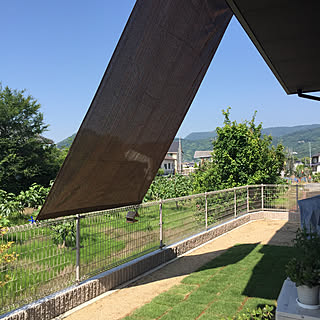 芝生 狭い庭のインテリア実例 Roomclip ルームクリップ