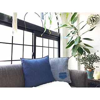 壁/天井/中古住宅/植物と暮らす/植物/フェイクグリーン...などのインテリア実例 - 2017-05-01 10:00:03