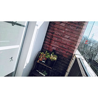 玄関/入り口/シンプルな暮らし/団地住まい/団地/団地インテリア...などのインテリア実例 - 2020-02-21 09:20:03