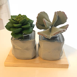 玄関/入り口/DIY/コンクリート鉢DIY/ホワイトインテリア/多肉植物/セリア...などのインテリア実例 - 2018-09-28 22:55:44