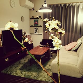 リビング オーディオルームのインテリア実例 Roomclip ルームクリップ リビング オーディオルームのインテリア実例 Roomclip ルームクリップ