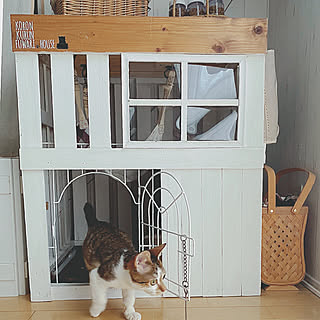 猫ハウスdiyのインテリア 手作りの実例 Roomclip ルームクリップ