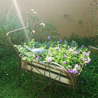 玄関/入り口/アンティーク/ガーデニングのインテリア実例 - 2019-08-18 08:12:26