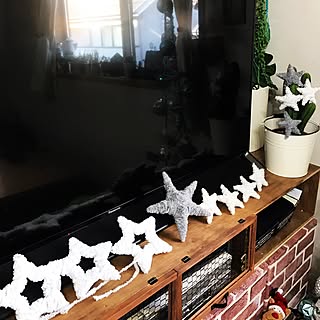 テレビ前に邪魔やんなぁ…(-_-;)/サボテンコラボバーンスター★/画用紙バーンスター★/フェイクに水あげ隊/!!!!!アホ仲間!!!!!...などのインテリア実例 - 2016-11-12 14:24:07