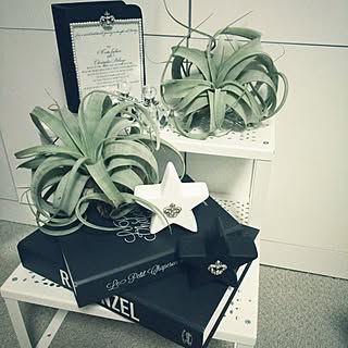 10分でできる/キセログラフィカ/キセログラフィカくらぶ♡/テメちゃんスタイル♡/ダイソー...などのインテリア実例 - 2017-03-14 22:38:24