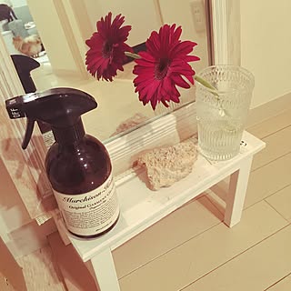 女性の、1K、一人暮らしの「玄関/入り口」についてのインテリア実例