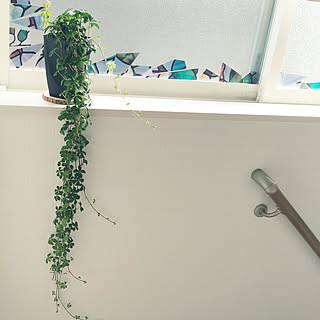 女性の、4LDK、家族住まいの「壁/天井」についてのインテリア実例