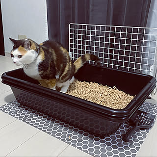 猫トイレdiyのインテリア 手作りの実例 Roomclip ルームクリップ 猫トイレdiyのインテリア 手作りの実例 Roomclip ルームクリップ