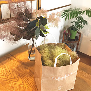 スモークツリー グリーンボールのインテリア実例 Roomclip ルームクリップ