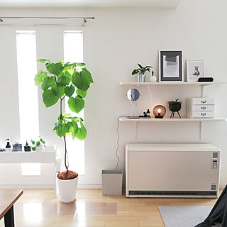 観葉植物 蓄熱暖房機のインテリア実例 Roomclip ルームクリップ