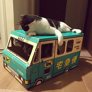 猫 クロネコヤマトのインテリア実例 Roomclip ルームクリップ