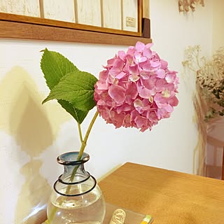 ダイニングテーブルの上 花のある暮らしのインテリア実例 Roomclip ルームクリップ ダイニングテーブルの上 花のある暮らしのインテリア実例 Roomclip ルームクリップ