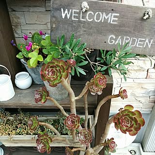 玄関/入り口/ナチュラル/ガーデン/庭/加工なし...などのインテリア実例 - 2016-09-04 09:04:14