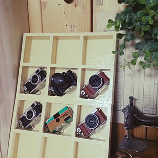 セリア ミニチュアカメラコレクションのインテリア実例 Roomclip ルームクリップ