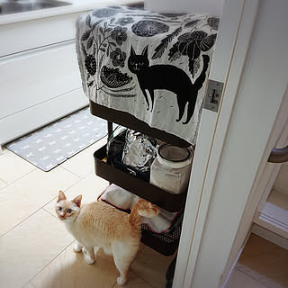 キッチン/キッチンワゴン/山善バスケットトローリー/鹿児島睦/フレッシュロック...などのインテリア実例 - 2020-01-10 14:27:18