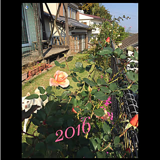 部屋全体/ビフォー写真として…/輸入住宅/日々の暮らし/築20年...などのインテリア実例 - 2018-05-11 00:01:35