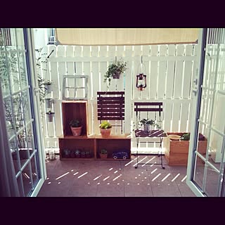 リビング/植物/ガーデニングのインテリア実例 - 2012-05-23 20:47:24