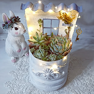 壁 天井 ペットボトルリメイクのインテリア実例 Roomclip ルームクリップ