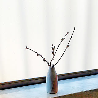 花瓶 ネコヤナギのおしゃれなアレンジ 飾り方のインテリア実例 Roomclip ルームクリップ