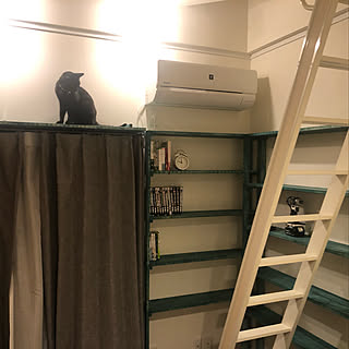 Diy 猫タワーのインテリア 手作りの実例 Roomclip ルームクリップ Diy 猫タワーのインテリア 手作りの実例 Roomclip ルームクリップ