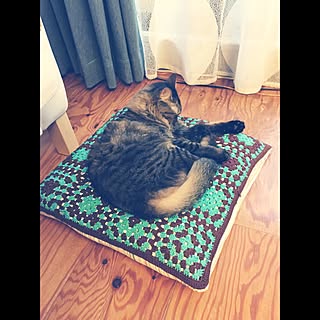 チョコミント配色のインテリア実例 Roomclip ルームクリップ