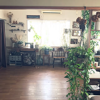 トラデスカンチアのインテリア実例 Roomclip ルームクリップ
