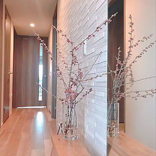 玄関 入り口 桜の枝のインテリア実例 Roomclip ルームクリップ 玄関 入り口 桜の枝のインテリア実例 Roomclip ルームクリップ