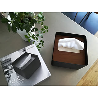 キッチン/アイアン風/雑貨/ティッシュボックスカバー/ティッシュボックス...などのインテリア実例 - 2017-10-27 23:24:16