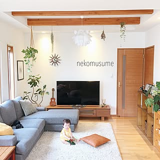 ウスネオイデス プラントハンガーのインテリア実例 Roomclip ルームクリップ ウスネオイデス プラントハンガーのインテリア実例 Roomclip ルームクリップ